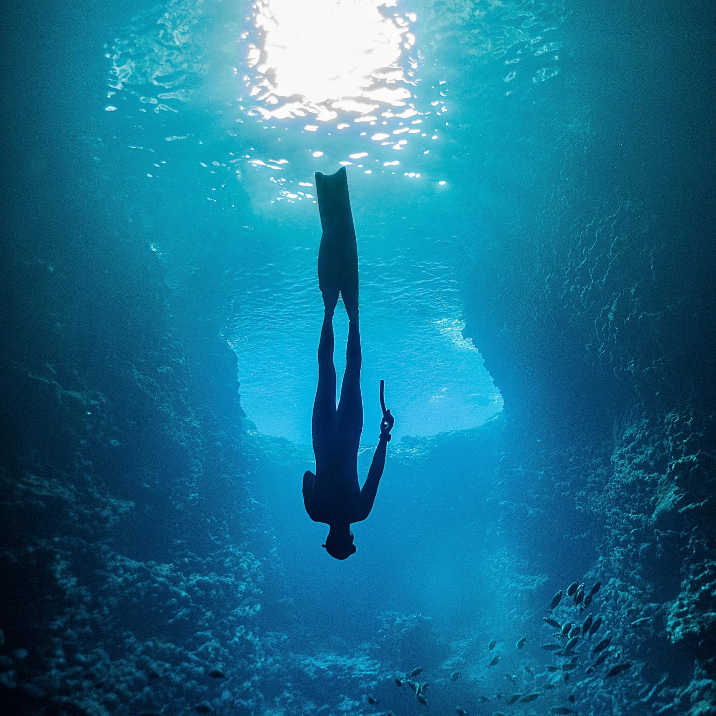 שרשרת - Mo’orea