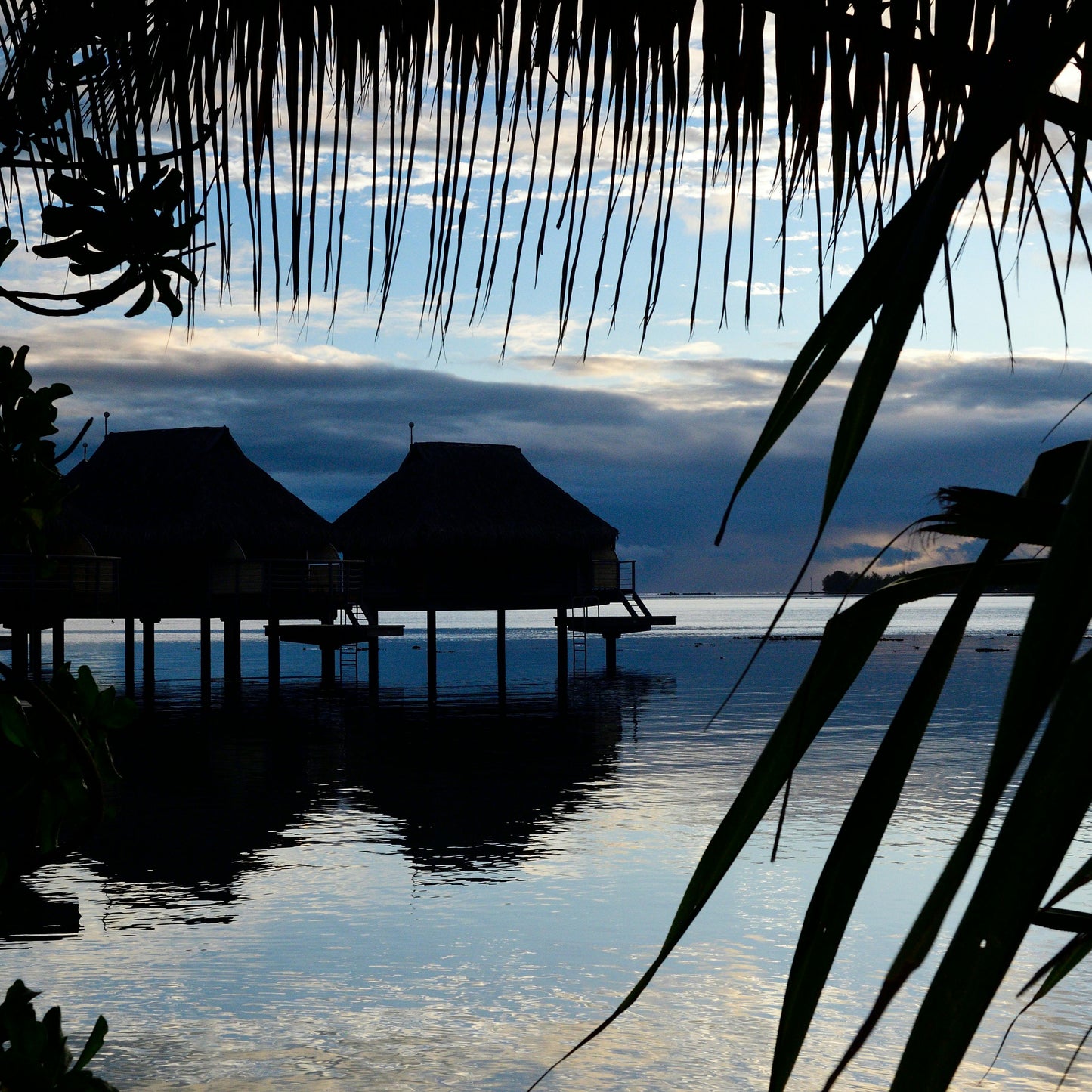 צמיד - PAIKEA YELLOW