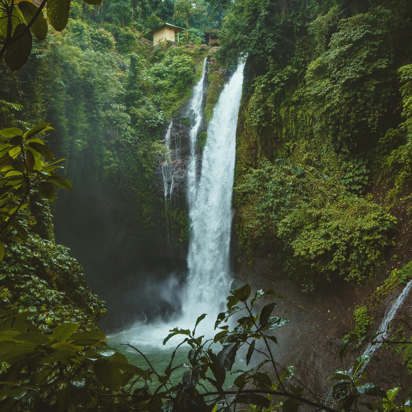 שרשרת - KOA LIMITED EDITION