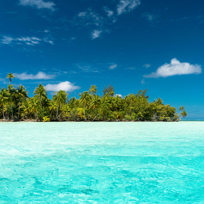 שרשרת - OCEAN SPIRIT