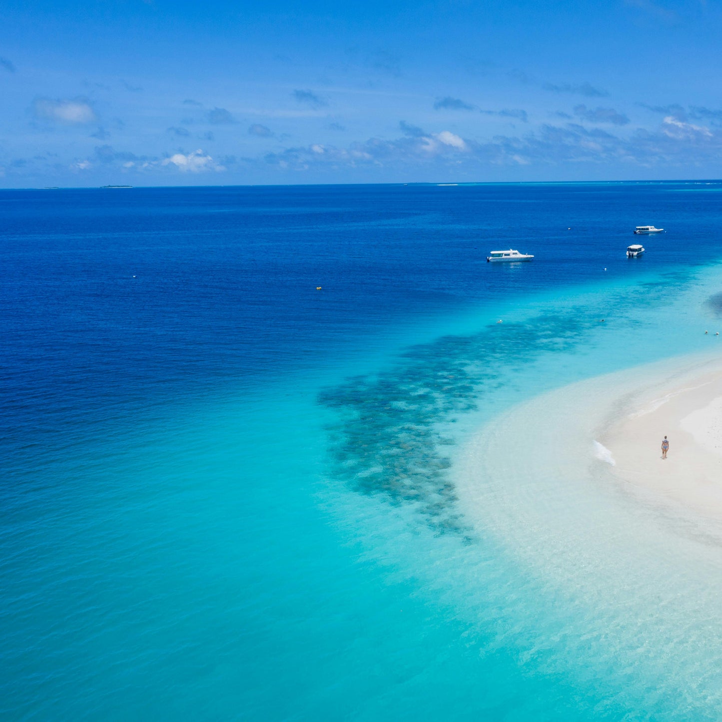 שרשרת - Mo’orea