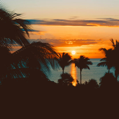 שרשרת - AURELIA