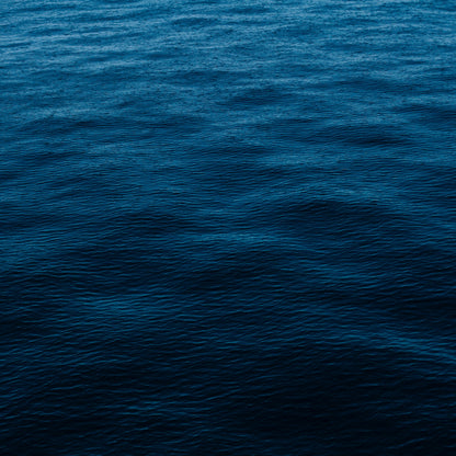 שרשרת - Oceanus