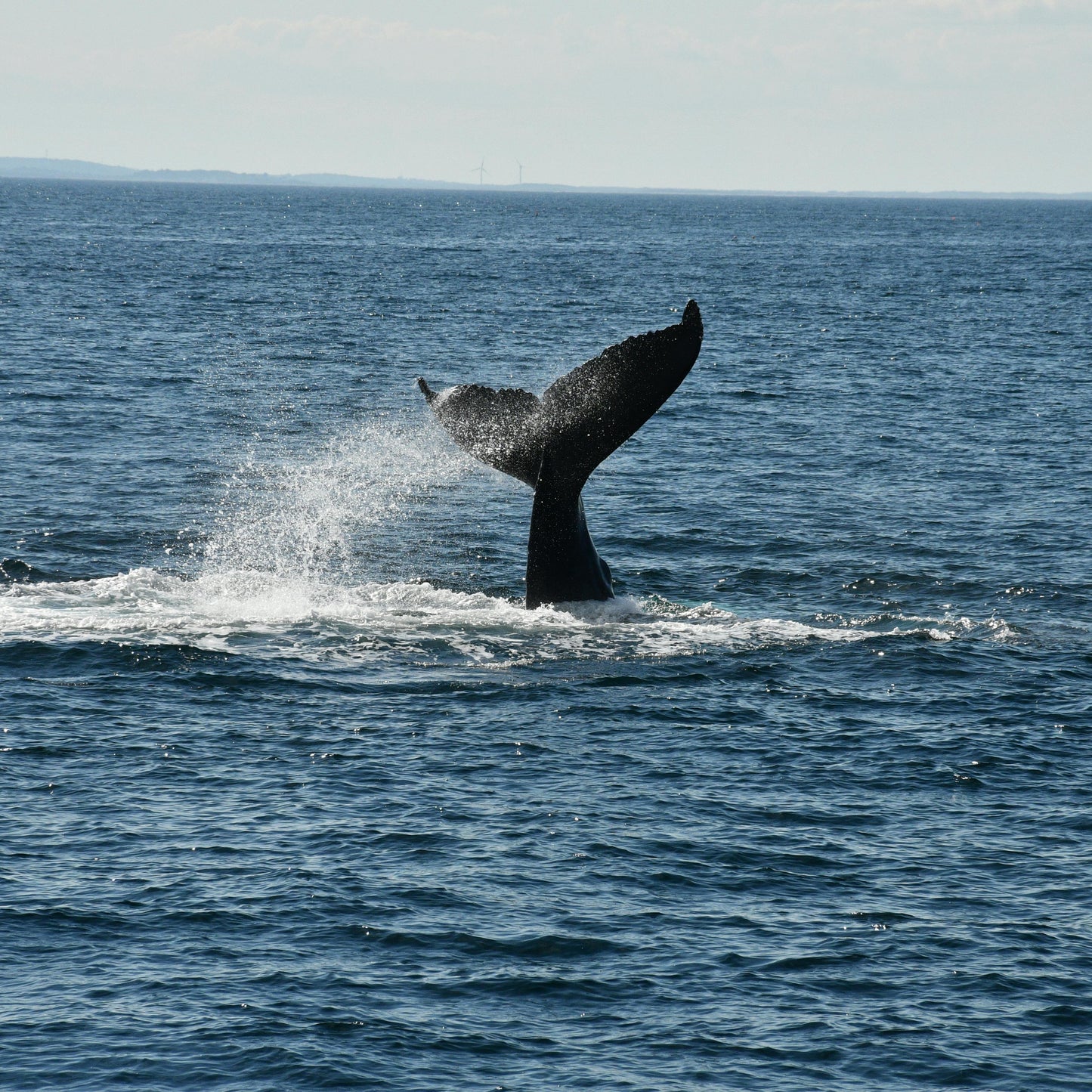שרשרת - OCEAN SPIRIT